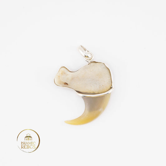 Mountain line claw - Amulet talisman totem spirit neckless