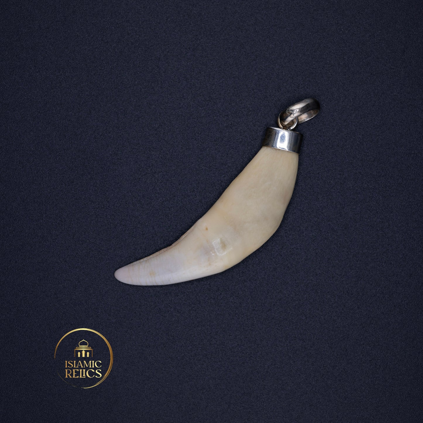 Giant Wolf Tooth Necklace Unisex – Symbol of Strength and Wild Spirit