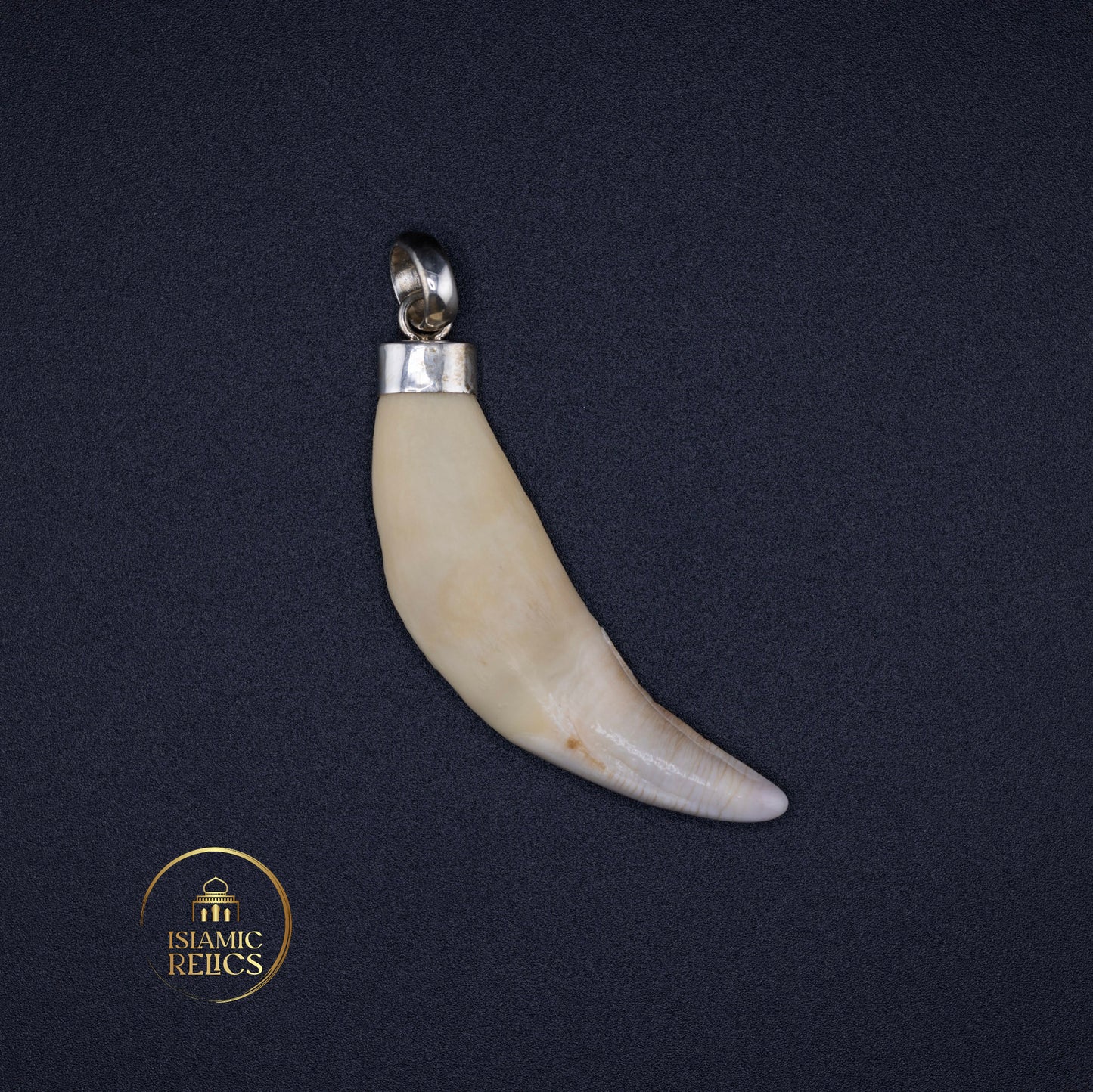 Giant Wolf Tooth Necklace Unisex – Symbol of Strength and Wild Spirit
