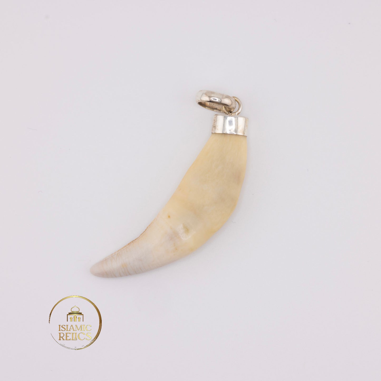 Giant Wolf Tooth Necklace Unisex – Symbol of Strength and Wild Spirit