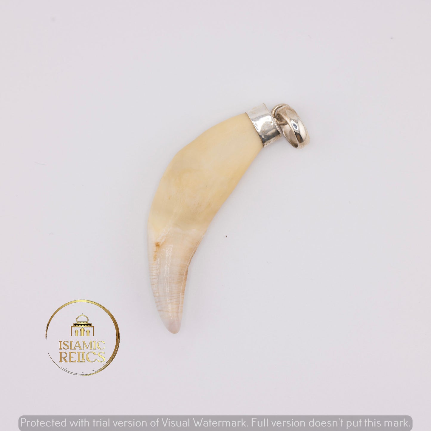 Giant Wolf Tooth Necklace Unisex – Symbol of Strength and Wild Spirit